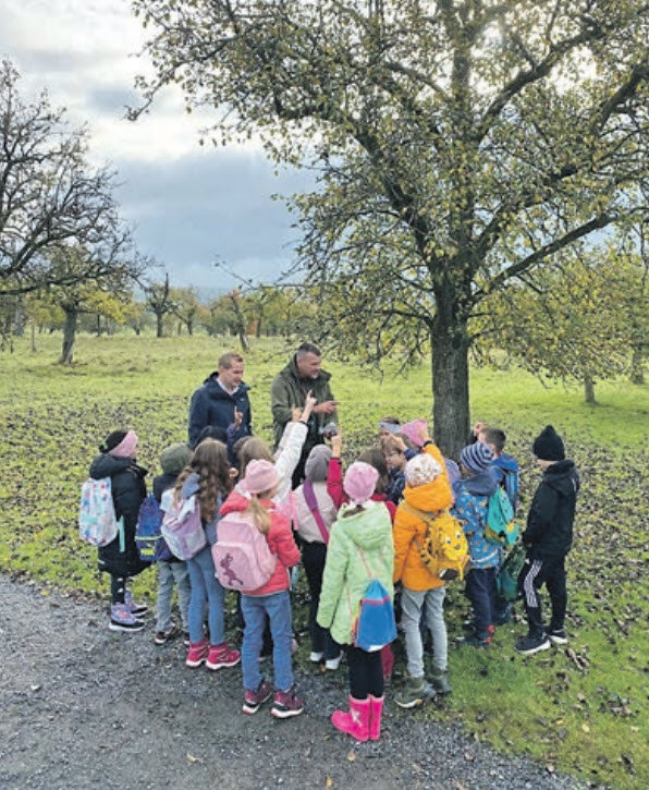 Die Grundschüler sind im Kirdorfer Feld der Natur auf der Spur. Foto: Stadt Nistkasten