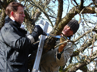 20100227 11 baumschn small