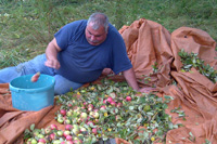 IMG 20121002 00095bk