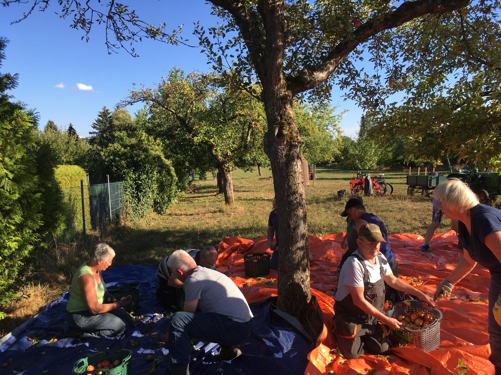 PHOTO 2018 09 12 18 06 36